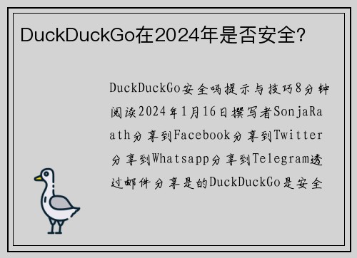 DuckDuckGo在2024年是否安全？ 
