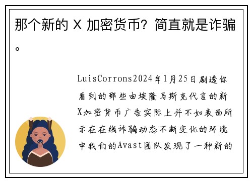 那个新的 X 加密货币？简直就是诈骗。